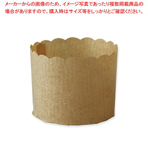 �V������ PM300 �y���K�~���J�b�v �����n 100���y���C�`���[�z