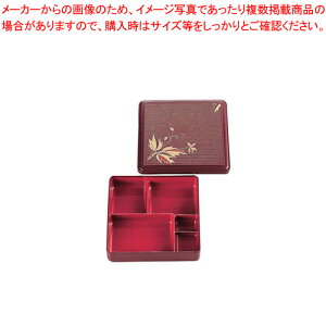 DX̓ BW-700 (uE/C/uhE)ylĈٓ `P[X syٓ ٓ sNjbNٓ ٓٓzy[J[/szyC`[