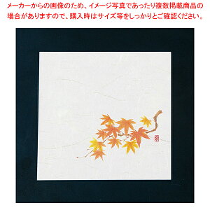 j[lG 4(100) NS-24 Ԃ݂yopi   ӂƂ낪 ƖpzyC`[z