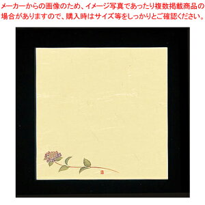 5 lG̉(100) S5-6 yopi   ӂƂ낪 ƖpzyC`[z