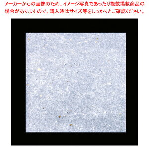 OP_~ F(100) OPG-13 9cmpy~[pi     ƖpzyC`[z