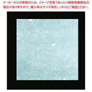 OP_~ F(100) OPG-53 9cmpy~[pi     ƖpzyC`[z