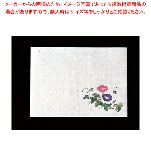 ԕۑN  (100) yopi | opi | ƖpzyC`[z