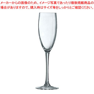 �J�x���l �t���[�g 160 48024(6����)�y�~�[�p�i ������� �������� ���� ��� �Ɩ��p�z�y���C�`���[�z