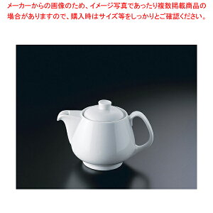 RT エポック 10630-34221 ティーポット3人用【ティーサーバー 業務用 ティーサーバー ティーポット お客様用 ホームパーティー 卓上用品 おもてなし 卓上品 お茶会 紅茶 ポット ハーブティー テ