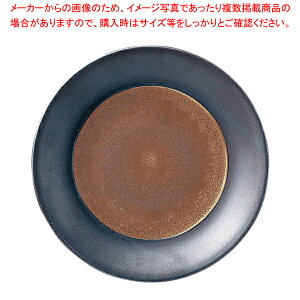 ���� ���E���h�v���[�g 28cm MS2801�y���C�`���[�z