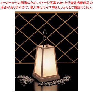 Hn ǂ  53210 ؁yXܔi CeAi Xܔi CeAi ƖpzyC`[z