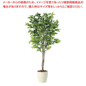 SG xW~i XvbVgv 90714 1.5mylH 蕨zy~[pi     ~[pi     ƖpzyC`[z