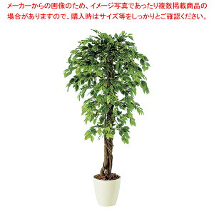 SG xW~i XvbVAi 90716 1.8mylH 蕨zy~[pi     ~[pi     ƖpzyC`[z