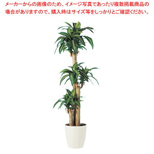 SG }bTQAi 90746 1.7mylH 蕨zy~[pi     ~[pi     ƖpzyC`[z