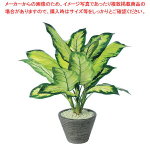 SG fBtF oMAJ~[ 90799ylH 蕨zy~[pi     ~[pi     ƖpzyC`[z