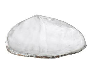 aH X489-378 і OM()yC`[z