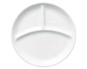 �C529-148 �y�ʋ��������`�v���[�g�y���C�`���[�z