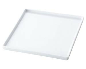 ��559-038 TUBE WHITE 24.5cm�X�N�E�F�A�v���[�g�y���C�`���[�z