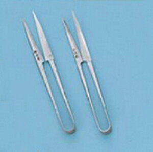 Fs ׍H 2gynT~  ͂ p Lb`oT~ ƖpzyC`[z