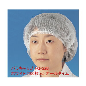 pLbv@FG-220@zCg@(100) I[^CyC`[z