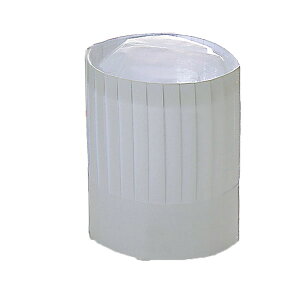 【まとめ買い10個セット品】 パリスハット PH-20NT 10枚入 高さ200mm【メイチョー】