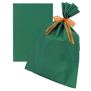 y܂Ƃߔ10ZbgiznMtgobO O[ 50×65cm 10 61-271-22-3 y bsOpi MtgobO {^Cv n nMtgobO O[Mtg^bsOpi z