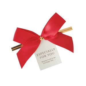 リボン付きワイヤータイ レッド リボン 10個 61-431-85-1 【店舗什器 小物 ディスプレー ギフト ラッピング 包装紙 袋 消耗品 店舗備品】【メイチョー】