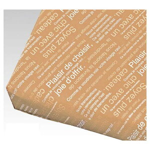 JtFI K 500 61-431-66-7 yX܏Y  fBXv[ Mtg bsO   Օi XܔizyC`[z