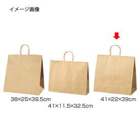 【まとめ買い10個セット品】丸ひもタイプ 茶無地 41×22×39 200枚 61-431-24-22 【店舗什器 小物 ディスプレー ギフト ラッピング 包装紙 袋 消耗品 店舗備品】【メイチョー】