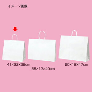 ۂЂ^Cv n 41×22×39 50 61-431-25-10 yX܏Y  fBXv[ Mtg bsO   Օi XܔizyC`[z