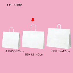 ۂЂ^Cv n 55×12×40 200 61-431-25-23 yX܏Y  fBXv[ Mtg bsO   Օi XܔizyC`[z