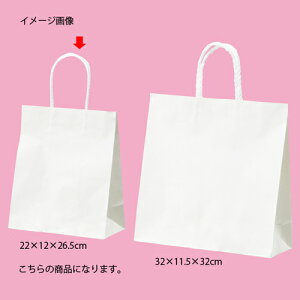 X[XobO n 22×12×26.5 300 61-309-5-13 ybsOpi  񂰎܁inj t܁zyX܏Y  fBXv[ Mtg bsO   Օi Xܔiz