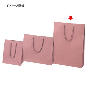 J[񂰎  33×10×45 100 61-313-12-6 ybsOpi bsOV[Y o^CEC[X^[Ew J[񂰎܁zyX܏Y  fBXv[ Mtg bs