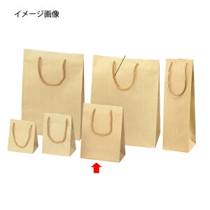 G{X Ntg 17×8.5×23 50 61-313-9-10 ybsOpi  񂰎܁inj 񂰎܁zyX܏Y  fBXv[ Mtg bsO   Օi XܔizyC`