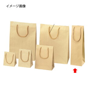 G{X Ntg 11×10×36.5 10 61-313-9-2 ybsOpi  񂰎܁inj 񂰎܁zyX܏Y  fBXv[ Mtg bsO   Օi XܔizyC`