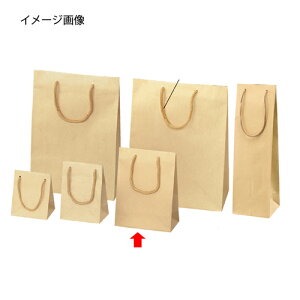 y܂Ƃߔ10ZbgizG{X Ntg 17×8.5×23 10 61-313-9-4 yX܏Y  fBXv[ Mtg bsO   Օi XܔizyC`[z