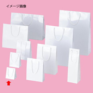 �y�܂Ƃߔ���10�Z�b�g�i�z�u���C�g�o�b�O �z���C�g 10×7×12 50�� 61-314-1-14 �y�X�܏Y�� ���� �f�B�X�v���[ �M�t�g ���b�s���O ��� �� ���Օi �X�ܔ��i�z�y���C�`���[�z