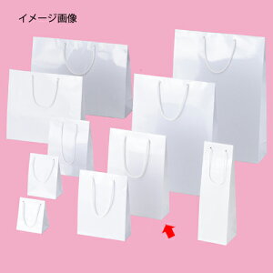 �y�܂Ƃߔ���10�Z�b�g�i�z��񂰎��� �u���C�g�o�b�N �z���C�g 22.5×8×32cm 10�� 61-314-1-8 �y ���b�s���O�p�i ���� ��񂰎��܁i���n�j �R�t�����܃u���C�g�o�b�O �z�y���C�`���[�z