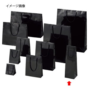 y܂Ƃߔ10Zbgiz񂰎 uCgobO N 11×10×36.5cm 10 61-314-2-3 y bsOpi bsOV[Y o^CEC[X^[Ew uCgobO ubNV