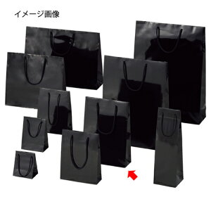 񂰎 uCgobO N 22.5×8×32cm 10 61-314-2-8 ybsOpi bsOV[Y o^CEC[X^[Ew uCgobO ubNVW}  cL zy