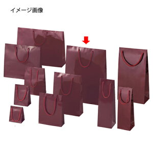 񂰎 uCgobN GW 33×10×45cm 10 61-314-3-10 ybsOpi bsOV[Y o^CEC[X^[Ew uCgobO GWVW}  cLzyC`