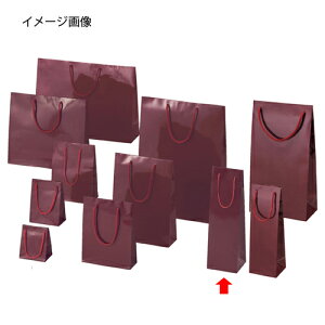 y܂Ƃߔ10ZbgizuCgobO GW 11×10×36.5 50 61-314-3-15 yX܏Y  fBXv[ Mtg bsO   Օi XܔizyC`[z