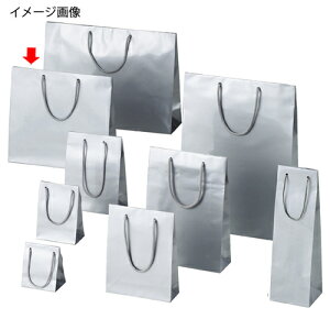 uCgobO Vo[ 33×10×30 10 61-661-54-9 yX܏Y  fBXv[ Mtg bsO   Օi XܔizyC`[z