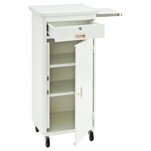 X`[Ƒ XChIt  t 61-146-11-2 yX܉^cpi ݌ɏpi Ƒ X`[Ƒ XChIt zX܏Y fBXv[ }lL i ̑pi nK[ 