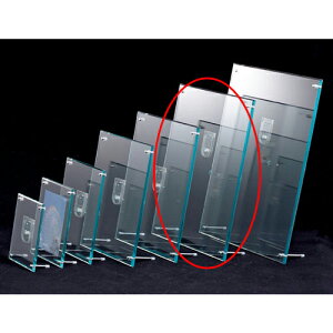 y܂Ƃߔ10ZbgizANt[ O[GbW B4 61-208-4-6 yX܏Y pl fBXv[ I POP |X^[ XܔizyC`[z