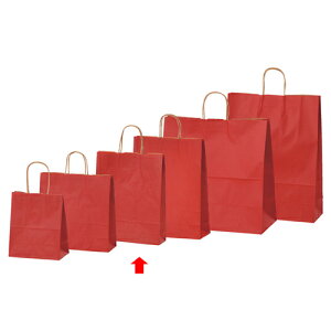 J[񂰎 bh 27×8×34 50 61-309-10-5 ybsOpi  񂰎܁inj J[񂰎 bhHEIKO  25`[obOzyXܔi  bsO  fBXv