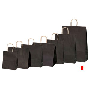 J[񂰎 uE 38×15×50 200 61-309-9-16 ybsOpi  񂰎܁inj J[񂰎܁zyXܔi  bsO  fBXv[X܁zyC`[z