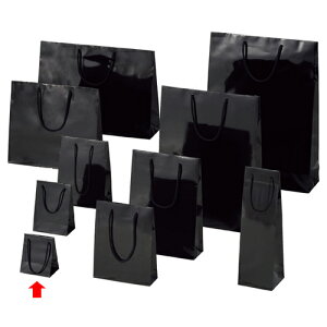 񂰎 uCgobO N 10×7×12cm 10 61-314-2-2 ybsOpi bsOV[Y o^CEC[X^[Ew uCgobO ubNVW}  cL zyC