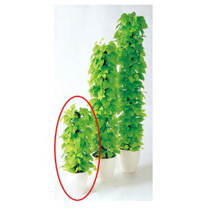 観葉植物 ハンガーの人気商品 通販 価格比較 価格 Com