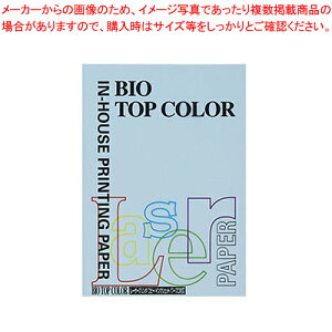 oCIgbvJ[ A4 100 BT132 ACXu[ 1y~[فz