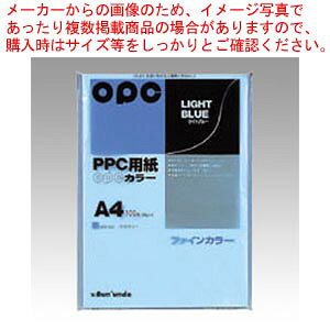 OPCt@CJ[ A4 100 J[333 Cgu[ 1Py~[فz