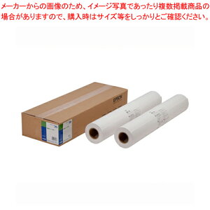 普通紙ロール(厚手) EPPP9024 1箱【厨房館】