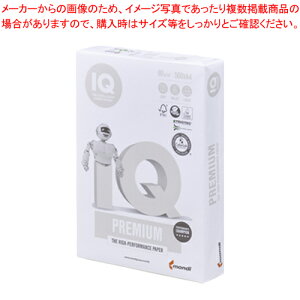 oCIgbvJ[ A4 500 BT500 zCg 1y~[فz