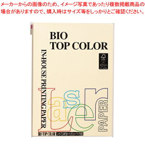 oCIgbvJ[ A4 100 BT101 N[ 1y~[فz